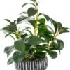 AlphaAcc Artificial Plants