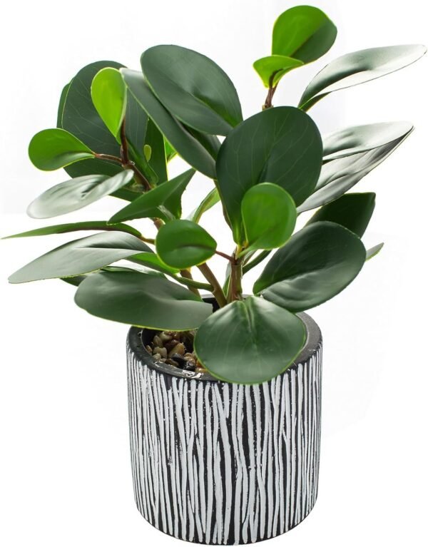 AlphaAcc Artificial Plants