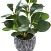 AlphaAcc Artificial Plants