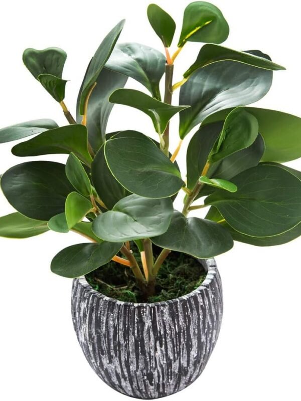 植物2 AlphaAcc Artificial Plants